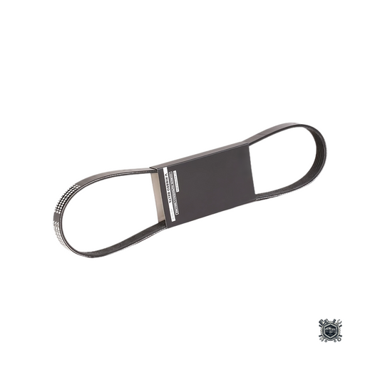 Correa De Accesorios